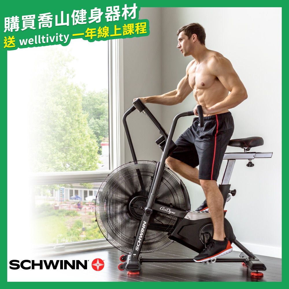 JOHNSON 喬山 Schwinn AD8 風扇健身車