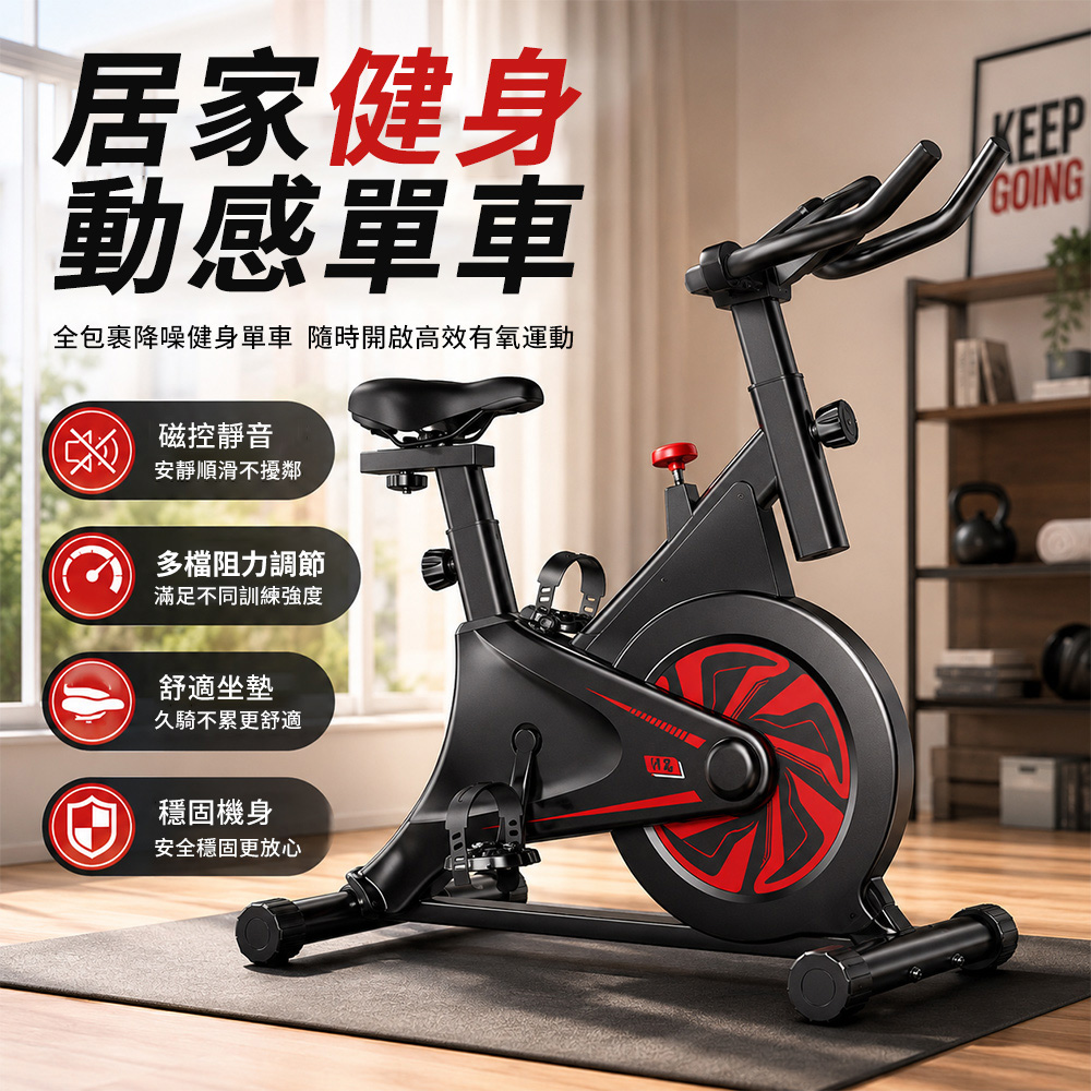 飛輪健身車 運動健身腳踏車 飛輪車 健身車