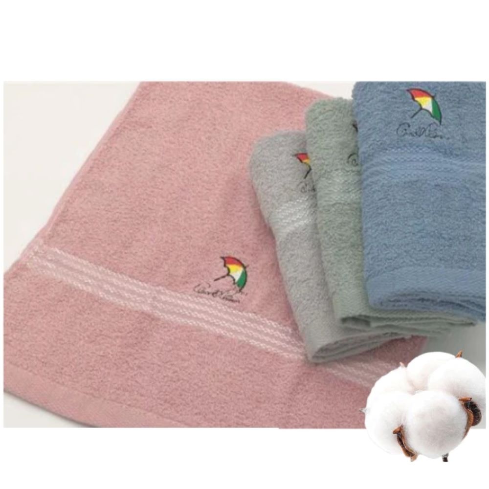 PORABELLA 台灣製 雨傘牌 浴巾 吸水浴巾 柔軟吸水 浴巾吸水 洗澡浴巾 Towel 隨機出色-2入組