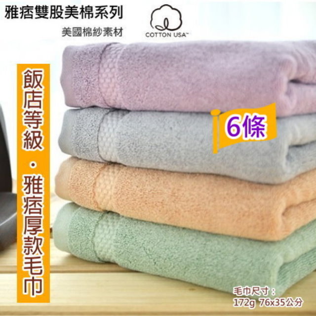 台灣興隆毛巾 美國棉雅痞雙股厚款毛巾(6條組) 【台灣興隆毛巾製】飯店級厚度