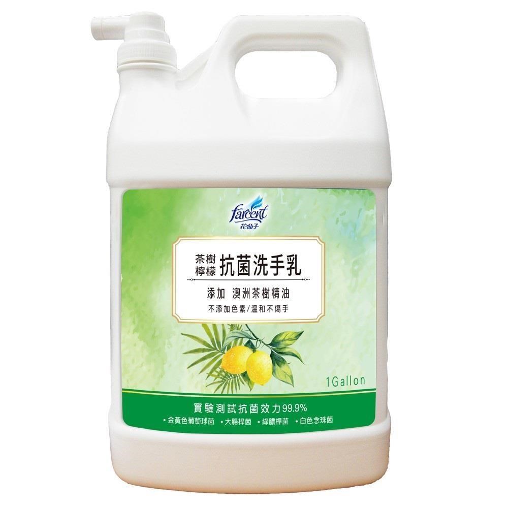 花仙子 茶樹檸檬抗菌洗手乳