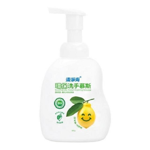 清淨海 環保洗手慕斯480g*12入