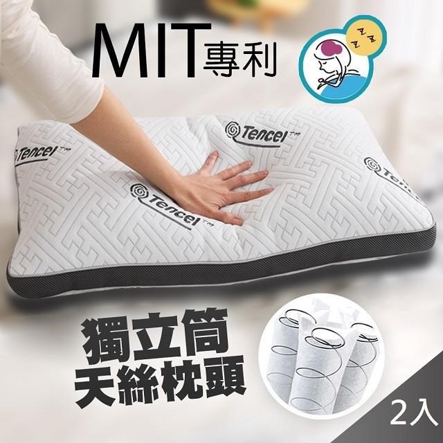 藻土屋 MIT頂級可水洗天絲鍍鋅獨立筒飯店枕頭SUD-J2(二入組)