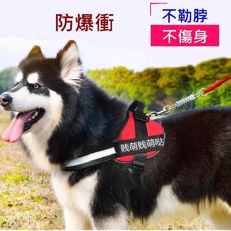 【南紡購物中心】 Caiyi K9胸背帶 寵物防暴衝帶 狗胸背帶 寵物防暴衝 牽繩 寵物胸背帶 M