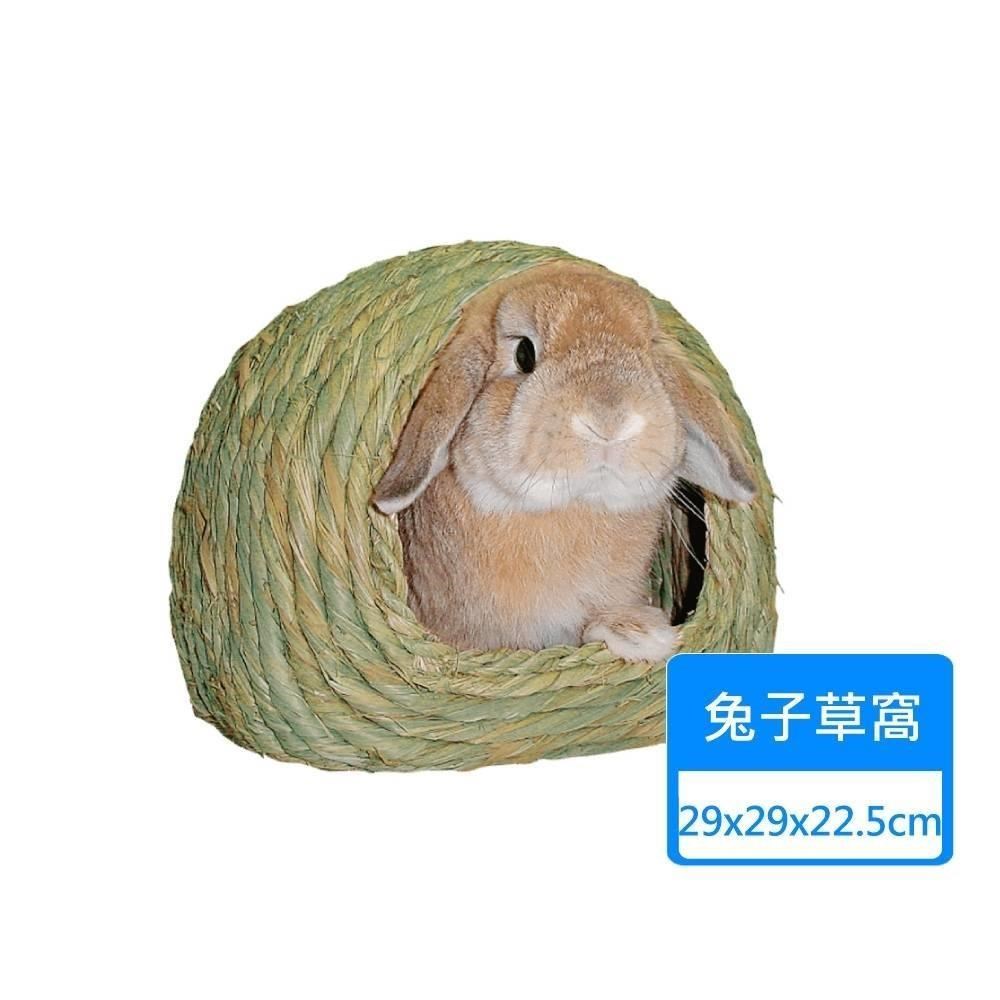 掛軸兔子圖 小白兔掛畫- Top 50件小白兔掛畫- 2025年7月更新- Taobao
