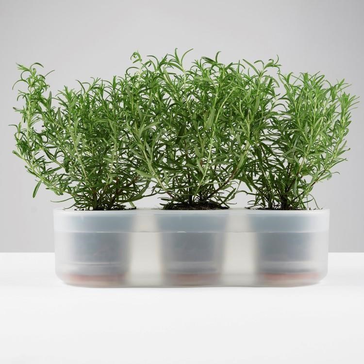 紐西蘭 boskke 耕作之盆 Self-Watering 懶人花器 三合盆 附培養土1.5 L