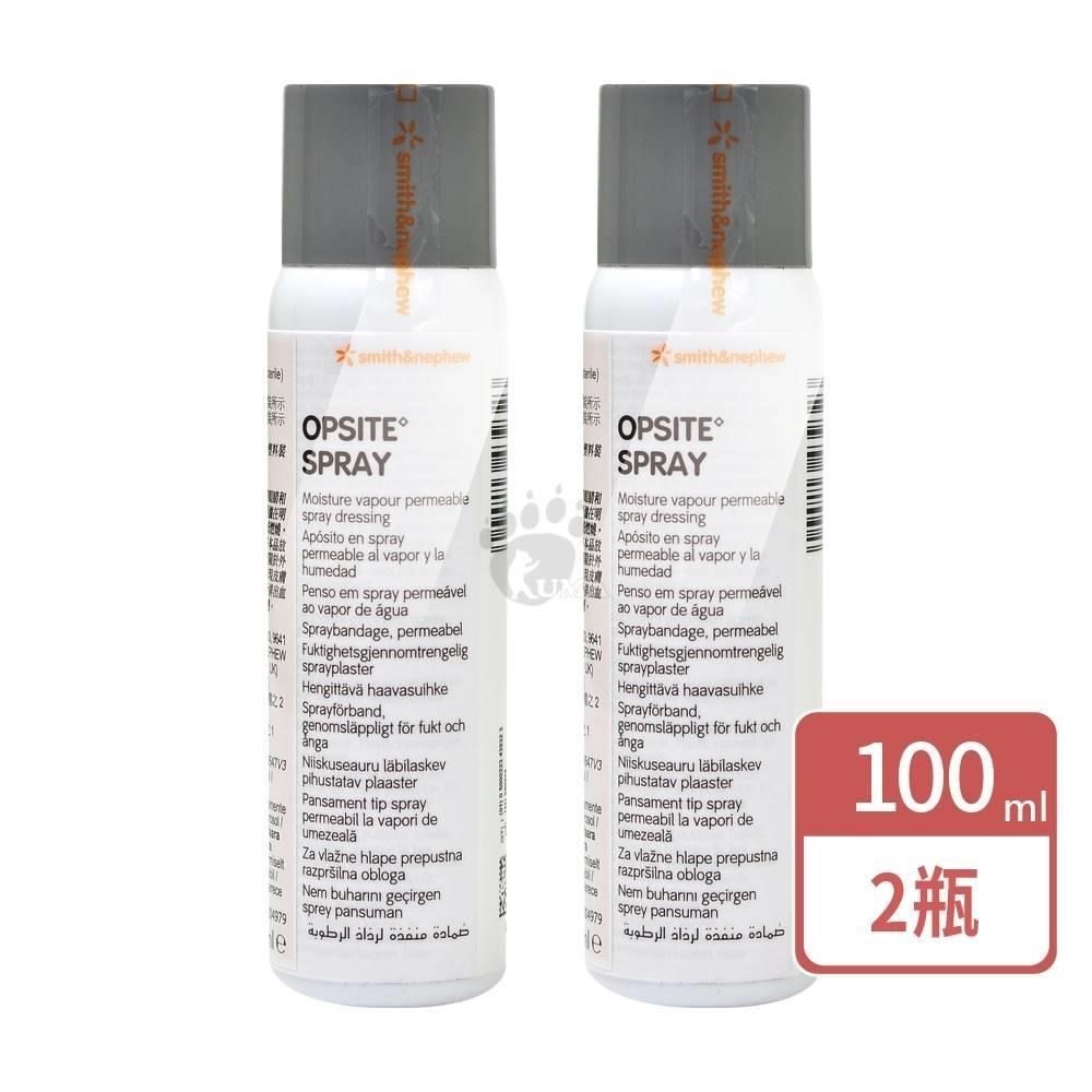 史耐輝 隱形護膜 100ml (2入)