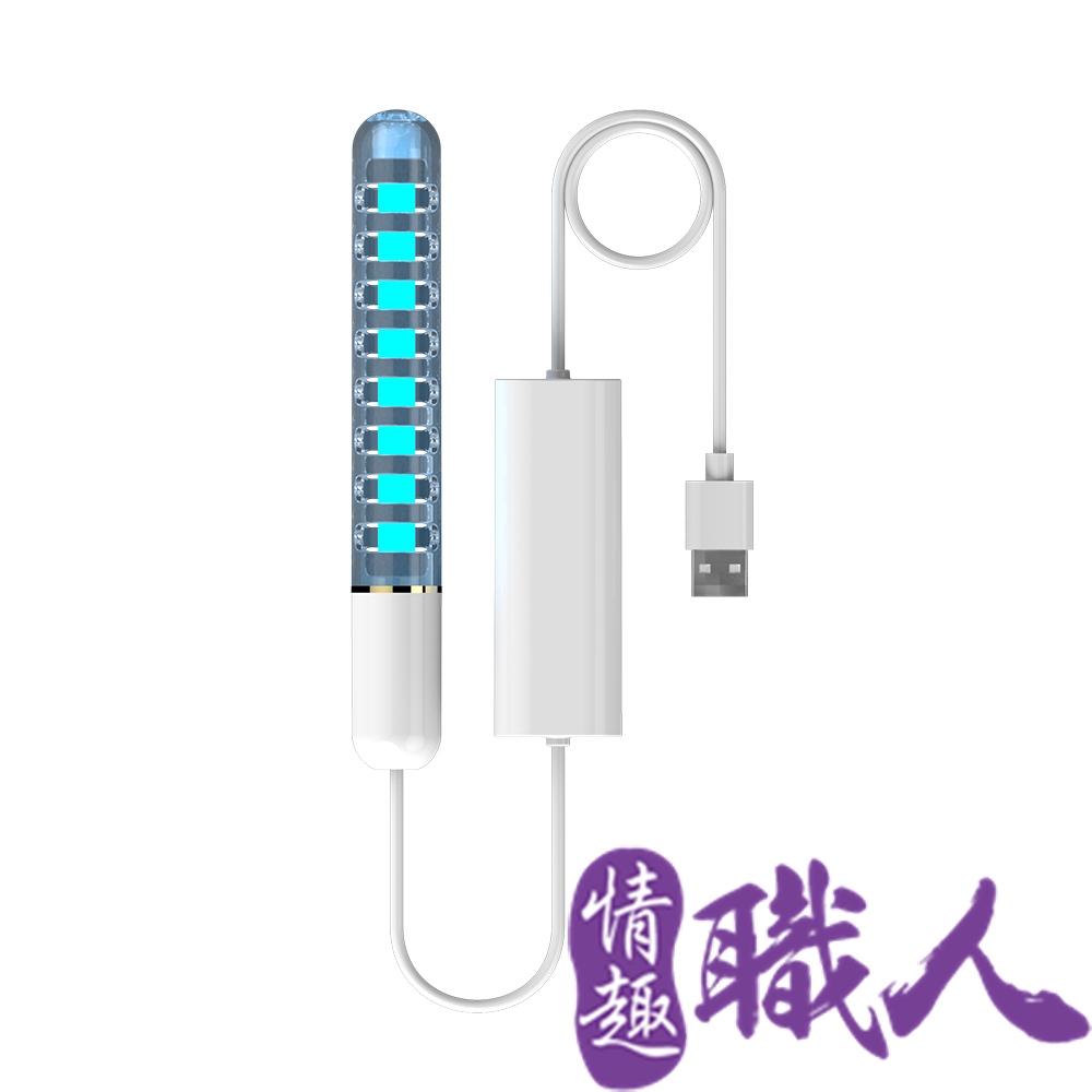 【情趣職人】殺菌消毒USB紫外線消毒棒 情趣用品.情趣職人.消毒棒