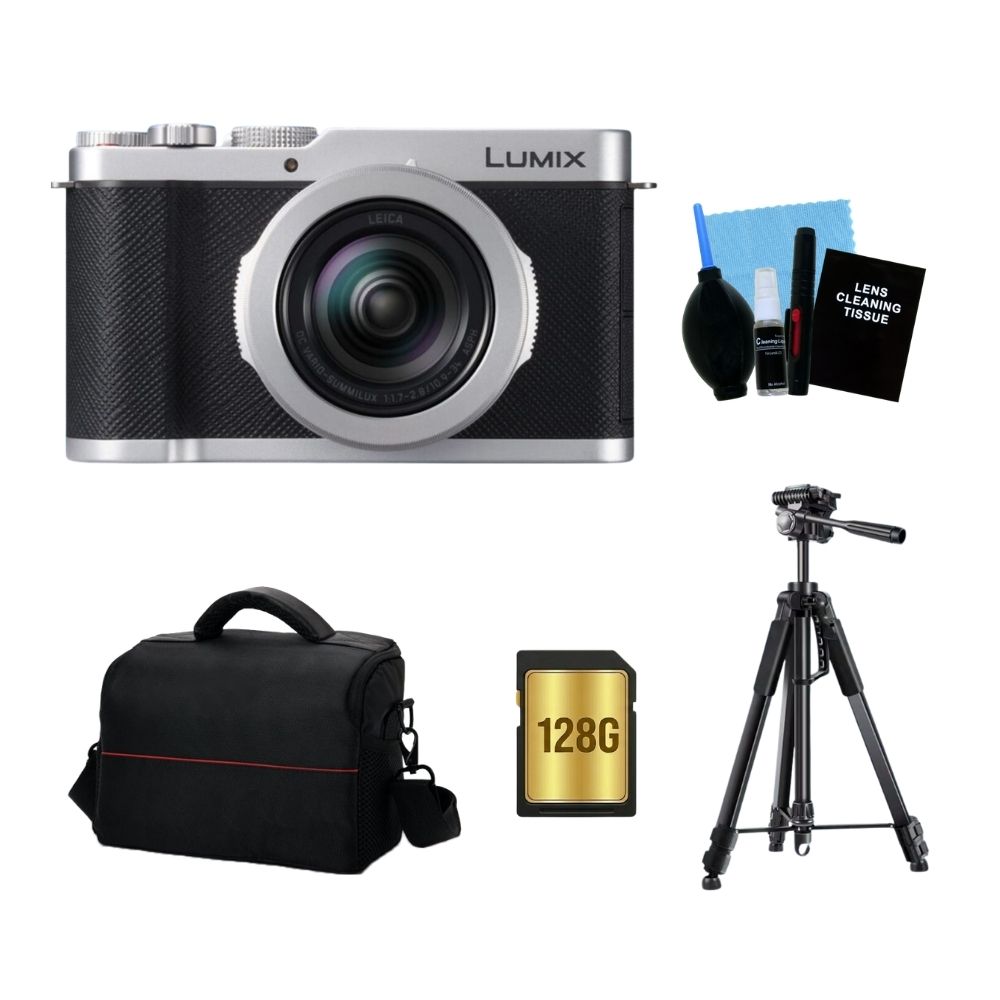 Panasonic 國際牌 LUMIX DC-L10 銀色 公司貨