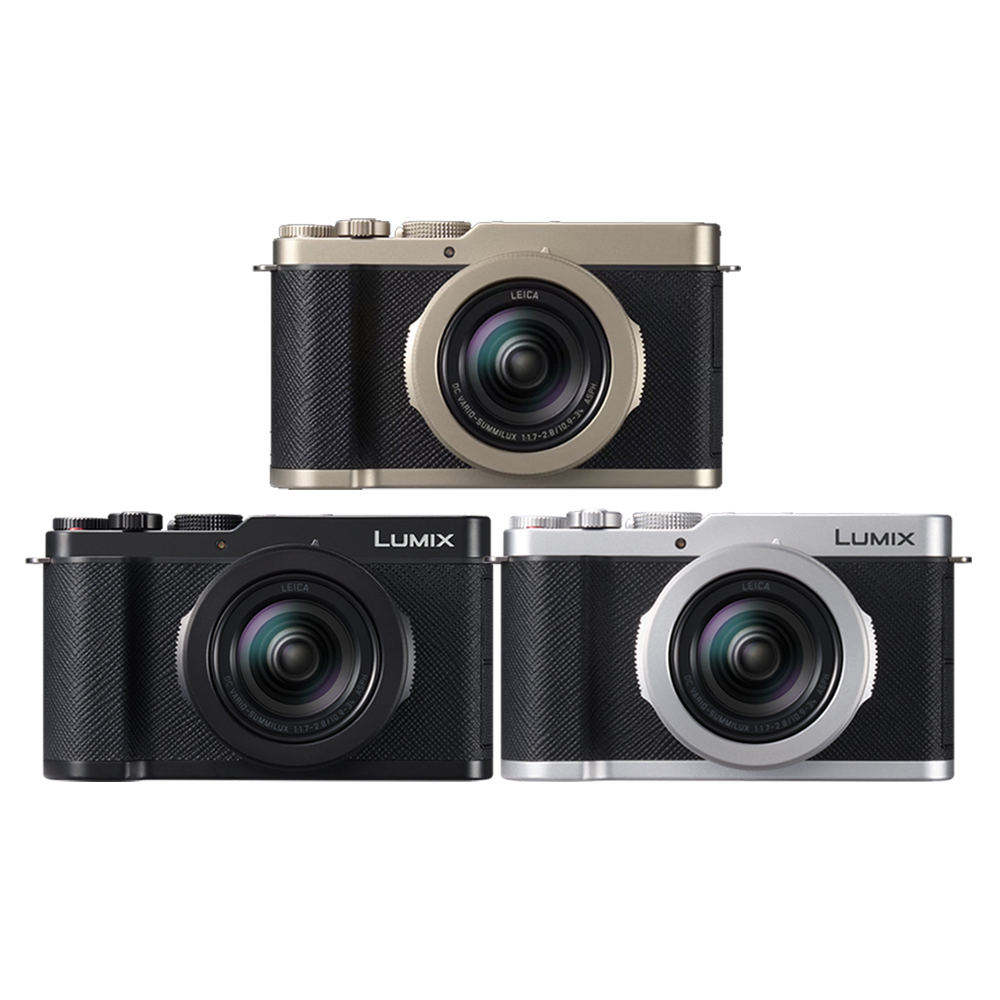 Panasonic 國際牌 LUMIX DC L10 公司貨