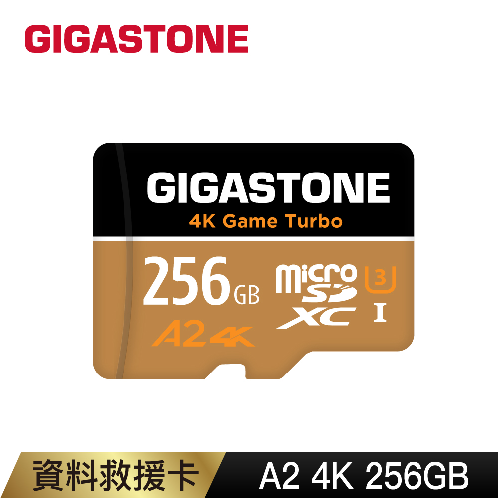Gigastone 立達 資料救援 256GB microSDXC UHS-I U3 A2 V30 高速記憶卡