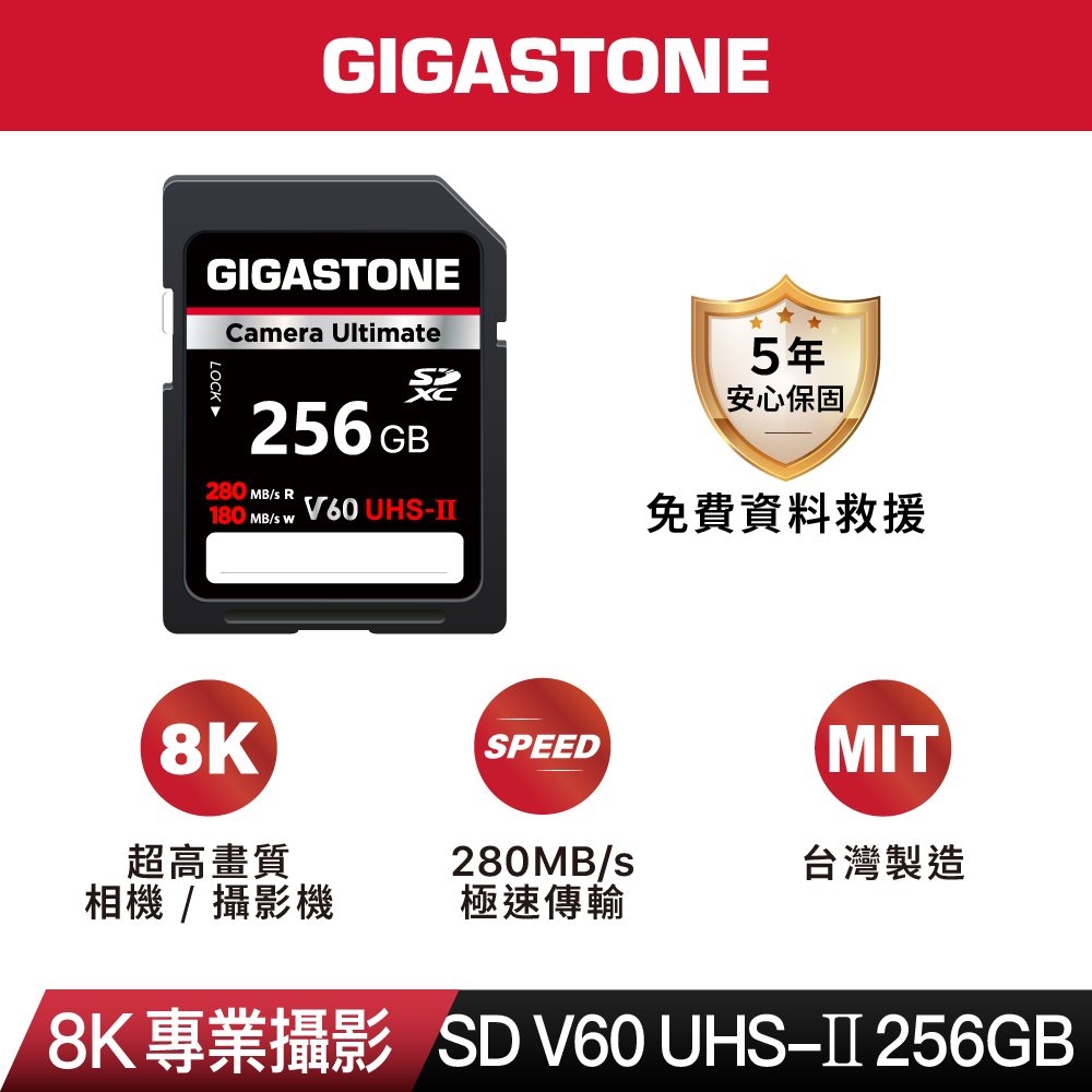 Gigastone 立達 SDXC UHS-II V60 256GB記憶卡