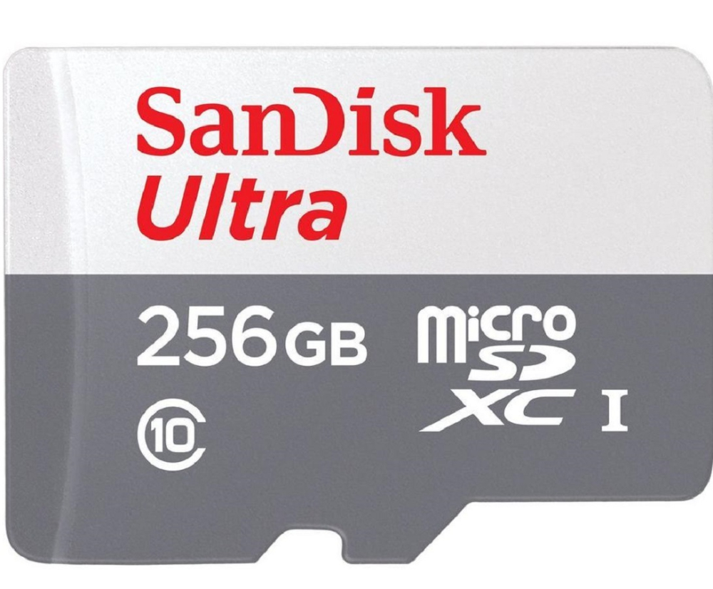 SanDisk 晟碟 256GB 256G microSDXC【100MB/s】Ultra micro SD UHS C10 SDSQUNR-256G手機記憶卡