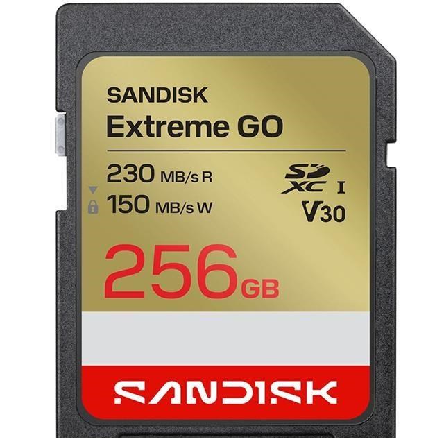 SanDisk 晟碟 256G 256GB SD extreme Go 230MB/s 4K V30 SDSDXGN-256G 記憶卡