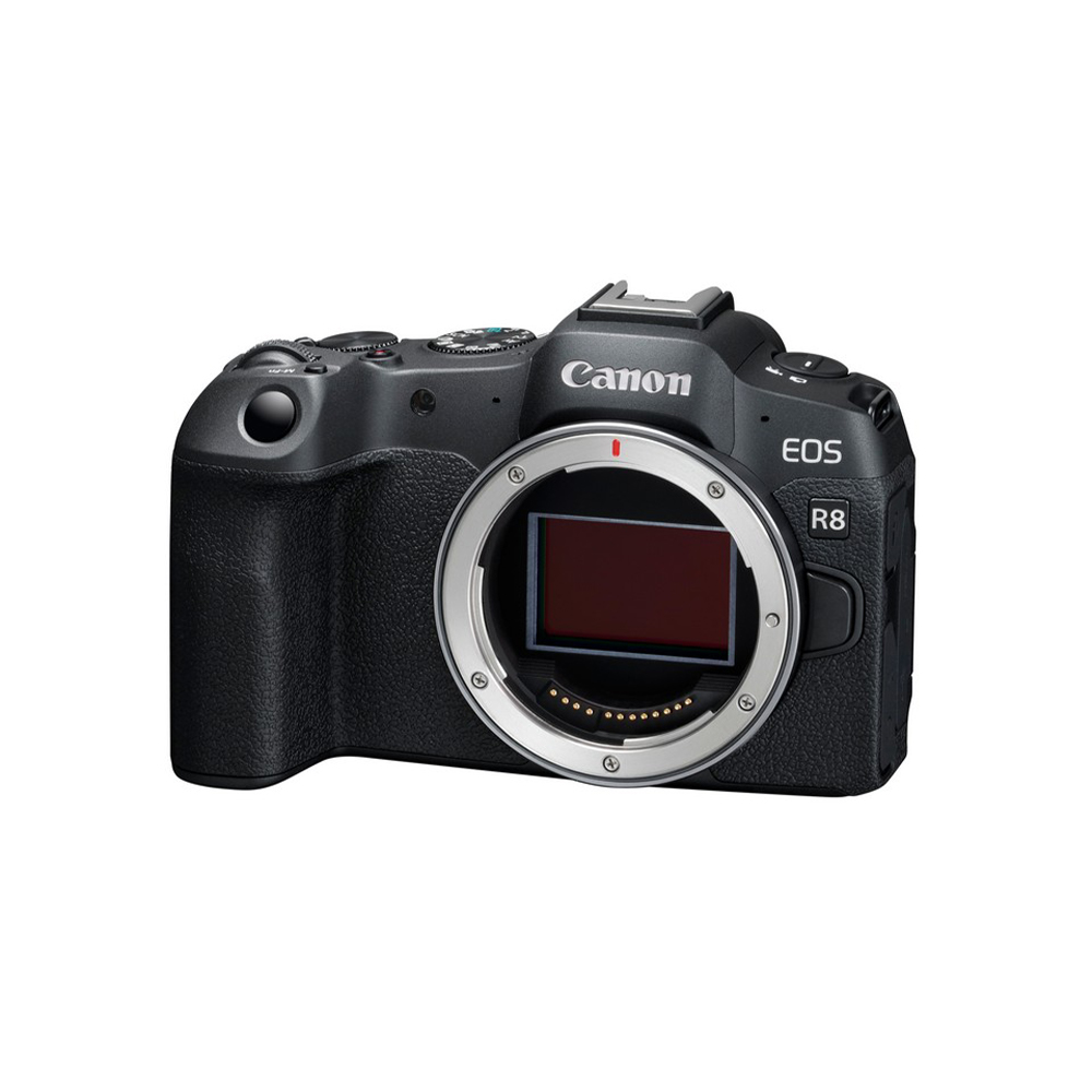 Canon 佳能 EOS R8 BODY 單機身 公司貨（其他規格）