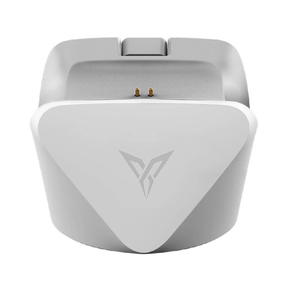 Flydigi 飛智 手把充電底座2 ( 適用 冰原狼4 )