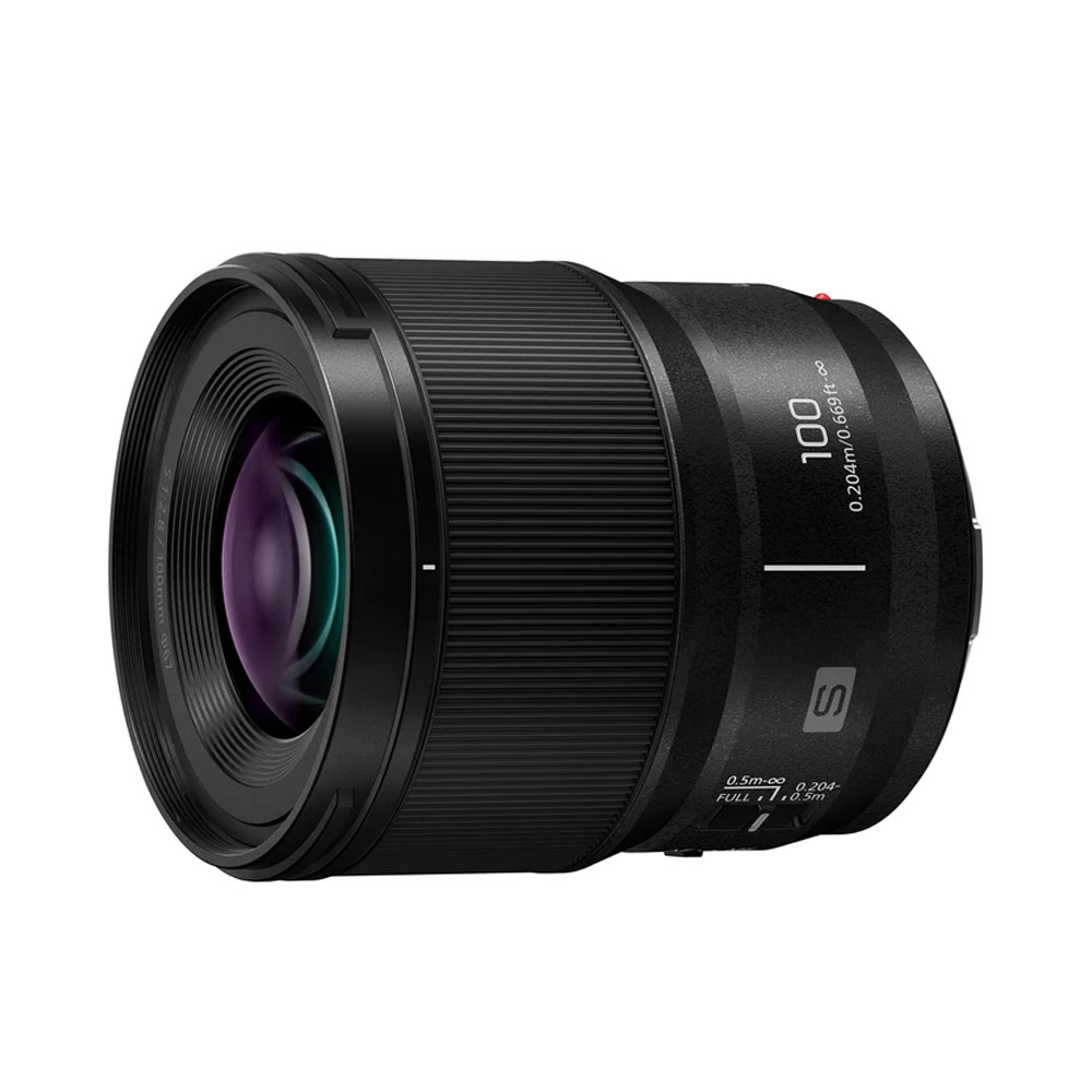 Panasonic 國際牌 LUMIX S 100mm F2.8 MACRO S-E100GC 公司貨