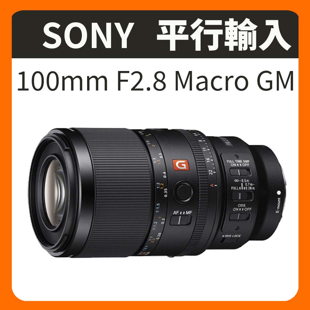 SONY 索尼 FE 100mm F2.8 Macro GM 微距定焦鏡頭 SEL100M28GM (平行輸入)