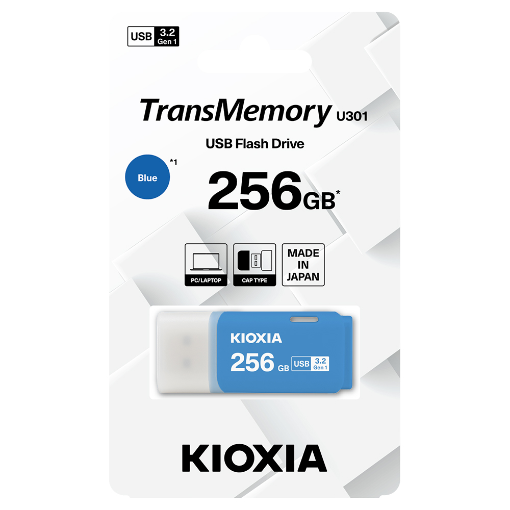 KIOXIA 鎧俠 U301 USB3.2 Gen1 256GB 隨身碟(LU301A256GG4)