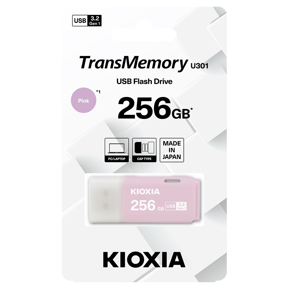 KIOXIA 鎧俠 U301 USB3.2 Gen1 256GB 隨身碟(LU301B256GG4)