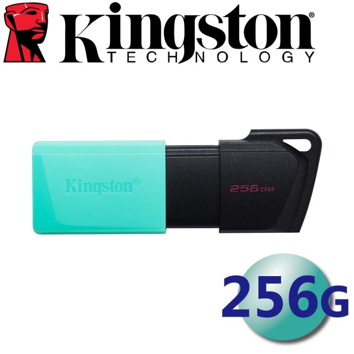 Kingston 金士頓 256GB DataTraveler Exodia M USB 3.2 隨身碟 DTXM/256GB