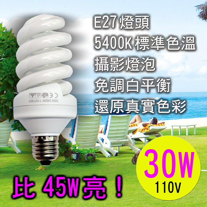 Taste 5400k燈泡(30w-28顆裝)