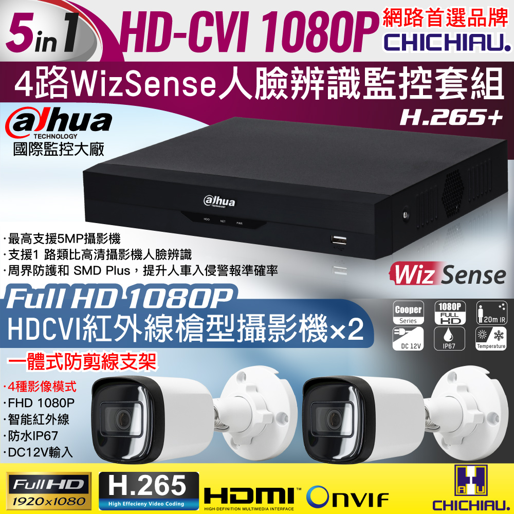 CHICHIAU 奇巧 Dahua大華 H.265 5MP 4路CVI 1080P數位遠端監控套組(含200萬紅外線槍機型攝影機x2)（其他規格）