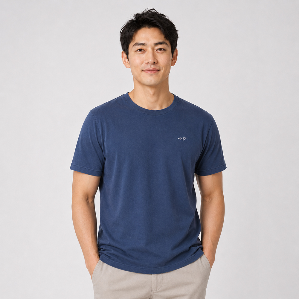 Hollister 海鷗 熱銷刺繡海鷗素面短袖T恤-深藍色