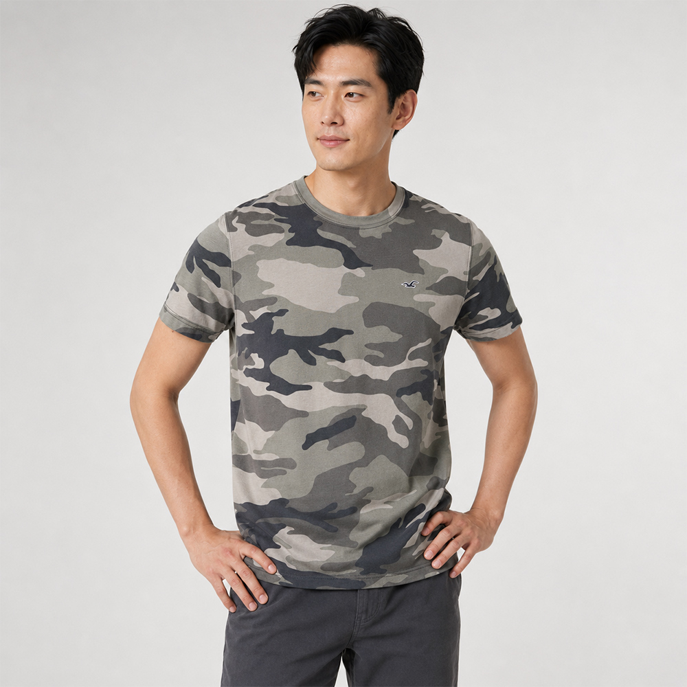 Hollister 海鷗 熱銷刺繡海鷗素面短袖T恤-迷彩色