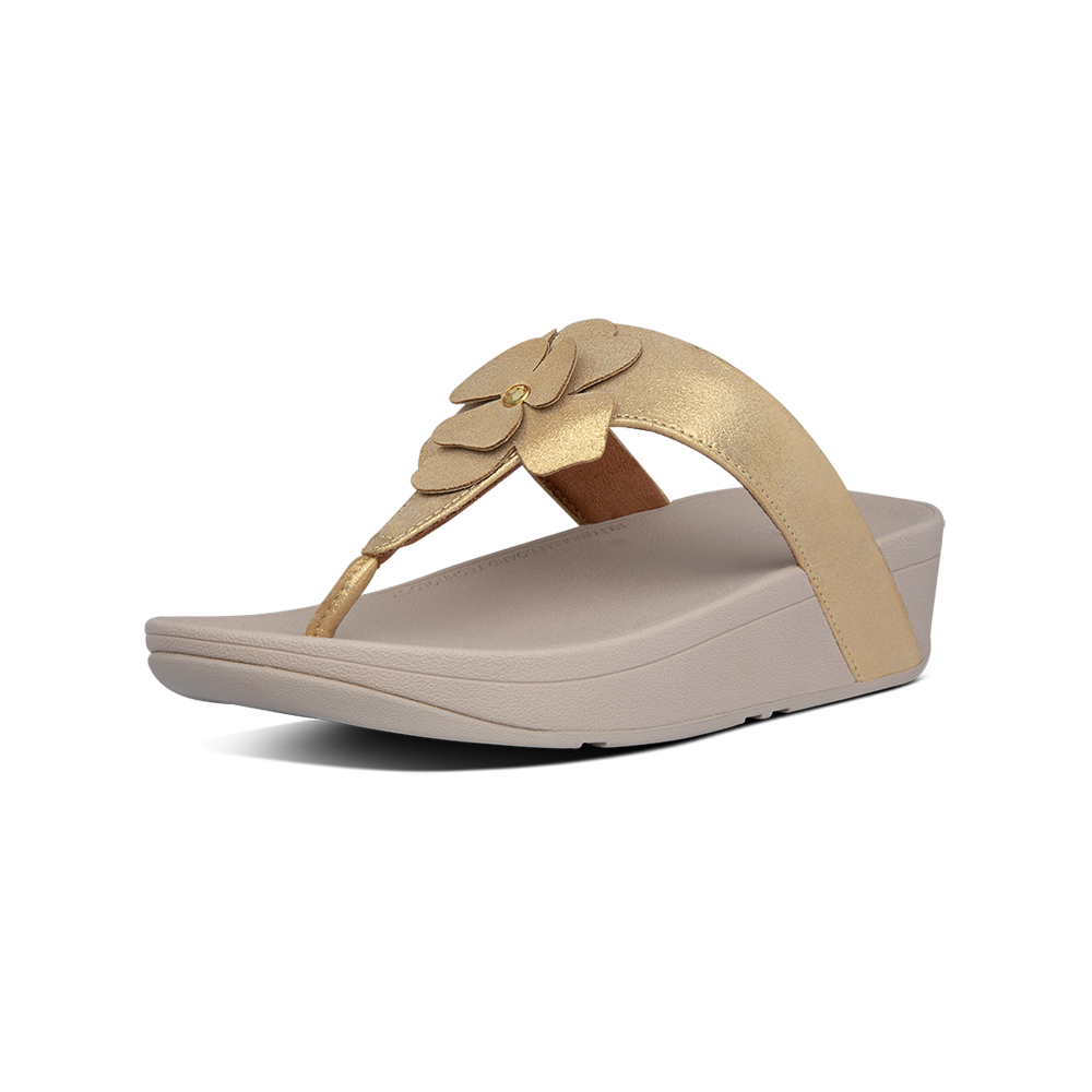 靴 fitflop LOTTIE CORSAGE TOE-THONGS Fitflop lottie corsage thong sandals clearance
