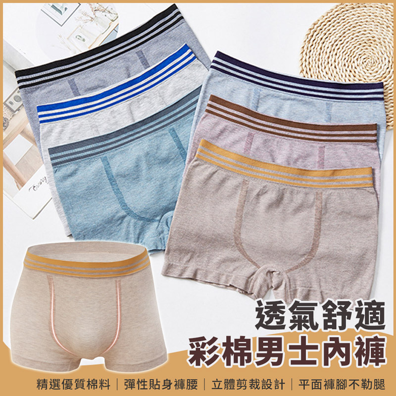 男士高彈舒適透氣彩棉內褲6入組(每色各一件)