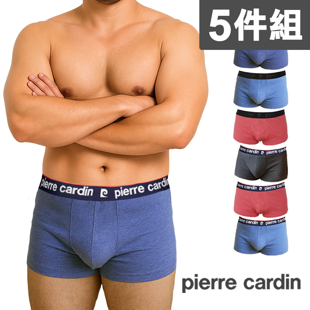 Pierre Cardin 皮爾卡登 輕柔高彈力平口內褲 四角內褲(5件組)