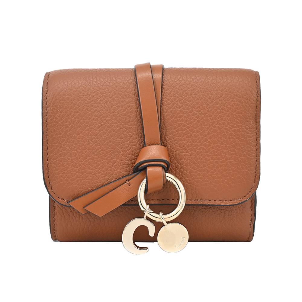 Chloe 银包 (96) 사진