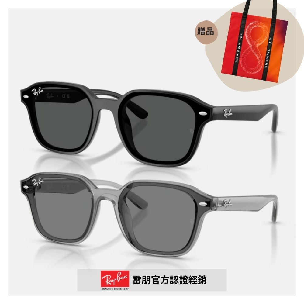 レイバン RB4391D 645087 65サイズ クリアグレー RB4391D 0 65サイズ