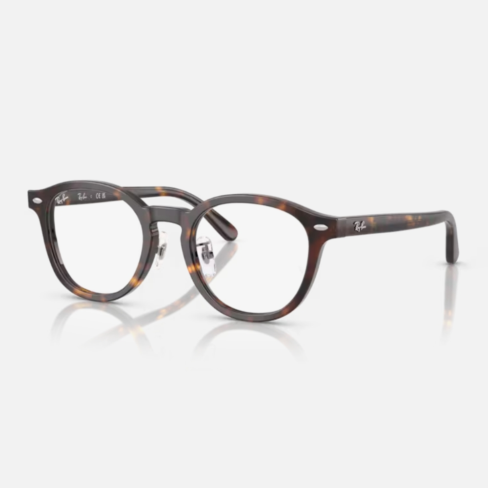 RAY BAN 雷朋 圓形膠框光學眼鏡(RX5443D-2012 49mm)