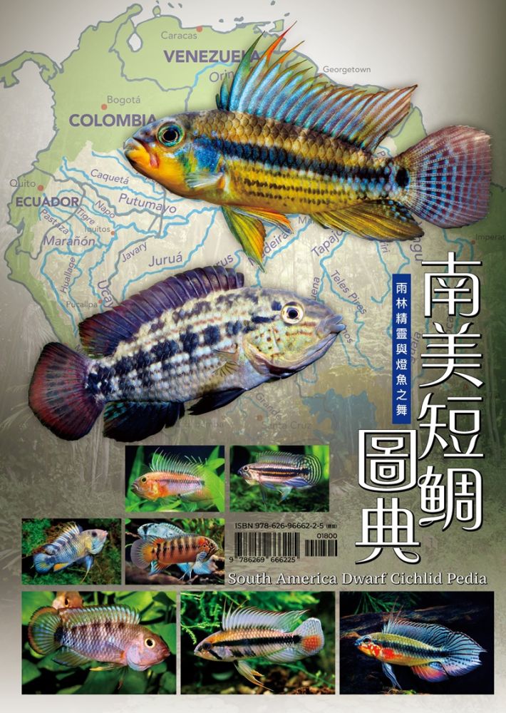 南美短鯛圖典:雨林精靈與燈魚之舞(精裝)