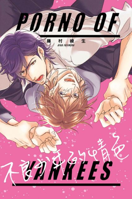 不良少年的情色（全）（限）拆封不退