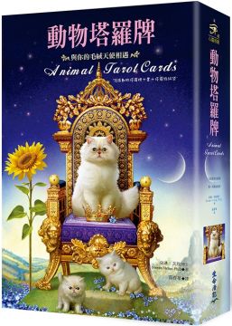 動物塔羅牌:與你的毛茸天使相遇