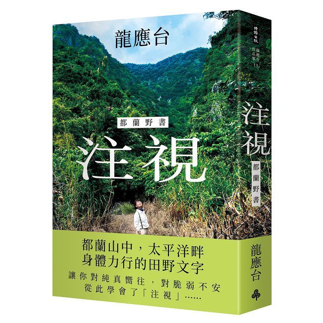 注視—都蘭野書