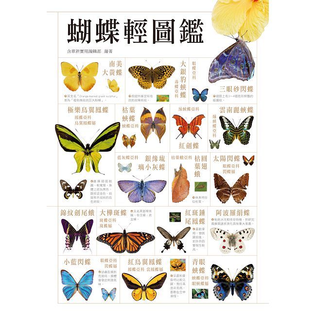 蝴蝶輕圖鑑