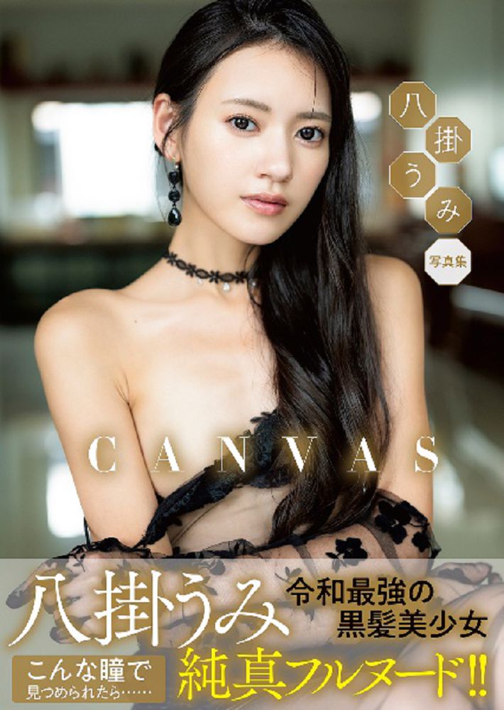 八掛海寫真集:CANVAS(限制級)