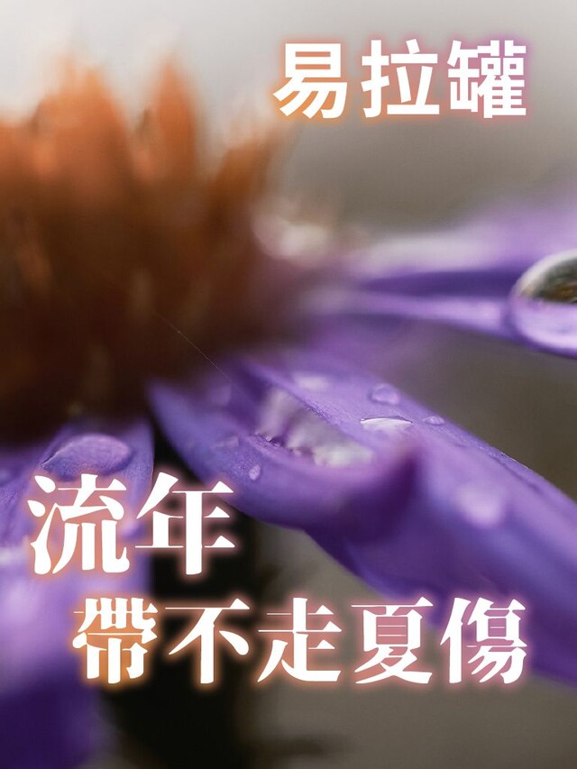 Readmoo 讀墨 流年帶不走夏傷（讀墨有聲書）