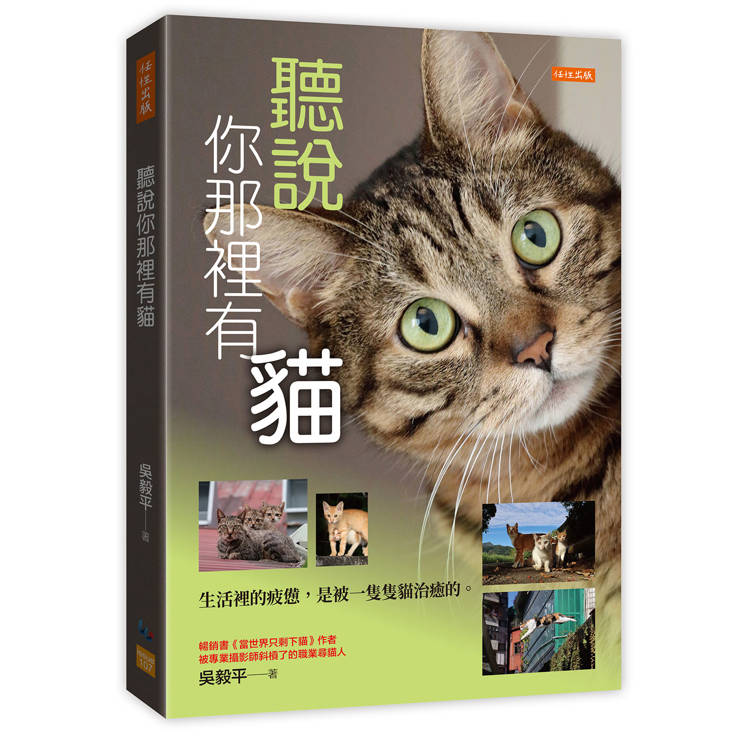 聽說你那裡有貓:
生活裡的疲憊,是被一隻隻貓治癒的。