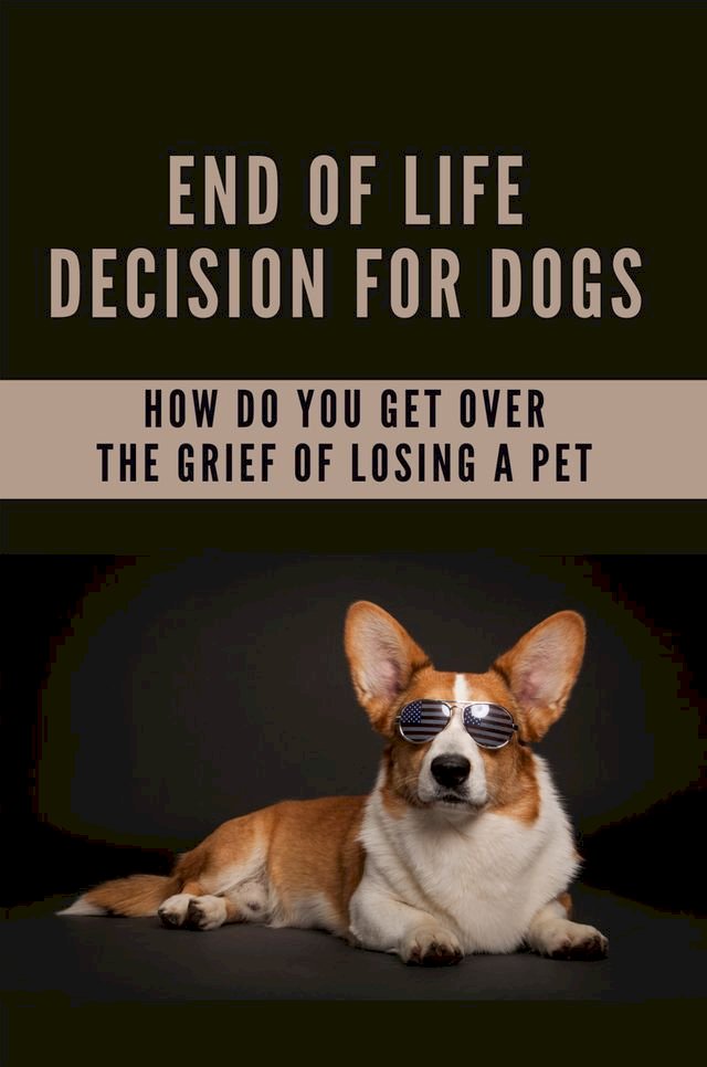 End Of Life Decision For Dogs: How Do You Get Over The Grief Of Losing A Pet