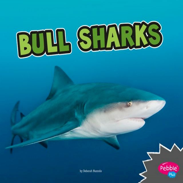 Kobo Bull Sharks