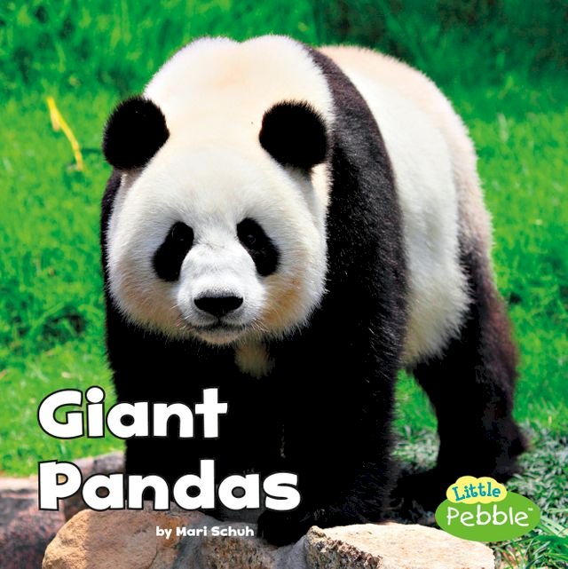 Kobo Giant Pandas
