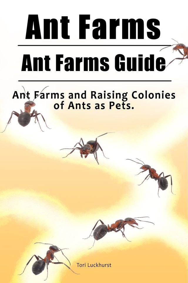 Ant Farms. Ant Farms Guide. Ant Farms and Raising Colonies of Ants as Pets