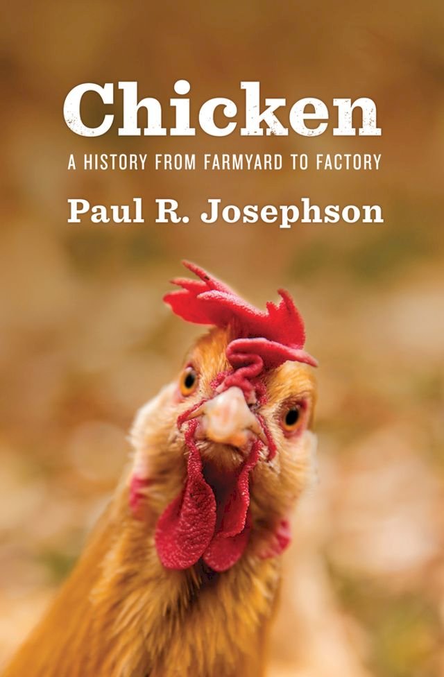 Kobo Chicken
