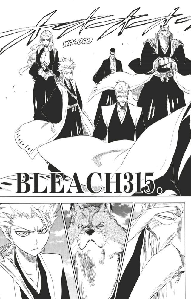 Bleach - T35 - Chapitre 315