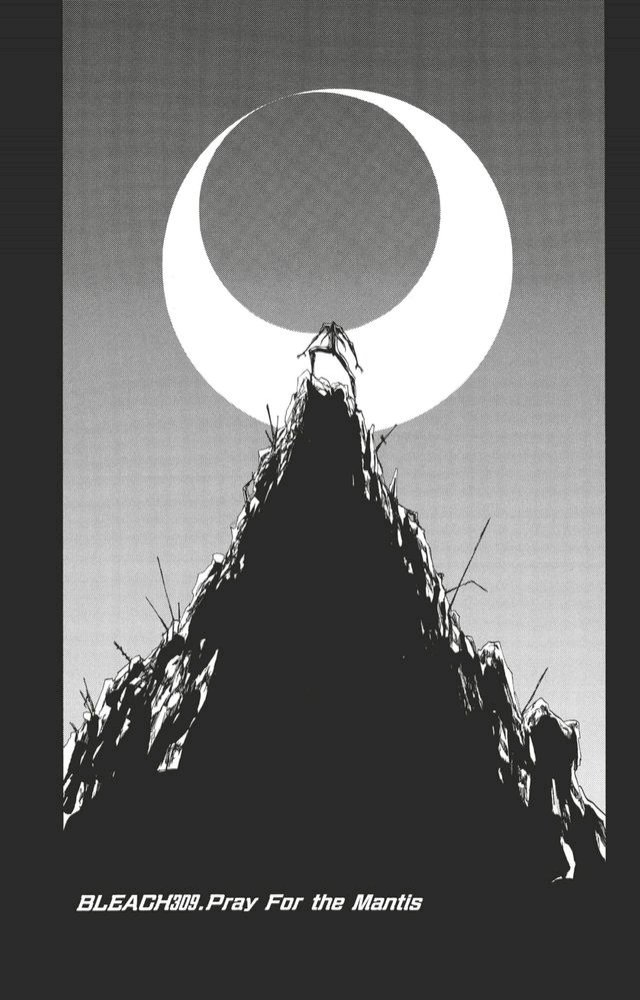 Bleach - T35 - Chapitre 309